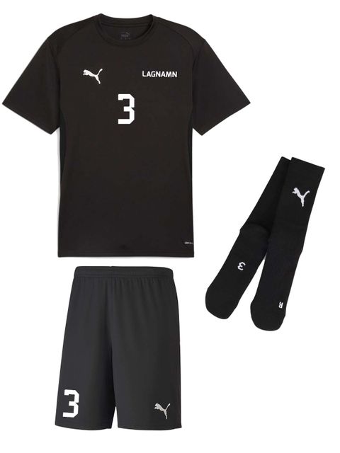 PUMA GAME KIT teamGOAL